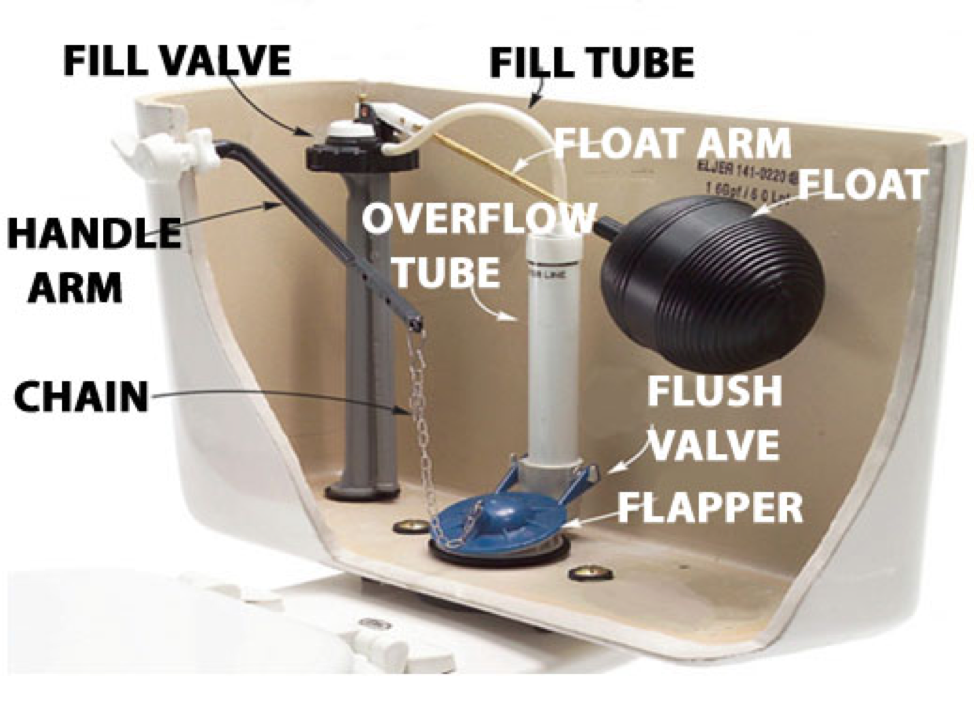 6 Reasons Your Toilet Keeps Running + How To Fix Them! Western Rooter